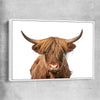 Animal wall art and canvas prints of Rustic Highland Cow with white framed canvas