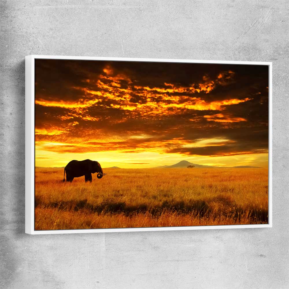 Animal wall art and canvas prints of Savannah Elephant Sunset with white framed canvas