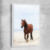 Animal wall art and canvas prints of Sea Breeze Horse with white framed canvas