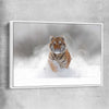 Animal wall art and canvas prints of Snow Tiger Charge with white framed canvas