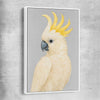 Animal wall art and canvas prints of Sulphur-crested Cockatoo with white framed canvas