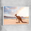Animal wall art and canvas prints of Sunset Kangaroo Walk with white framed canvas