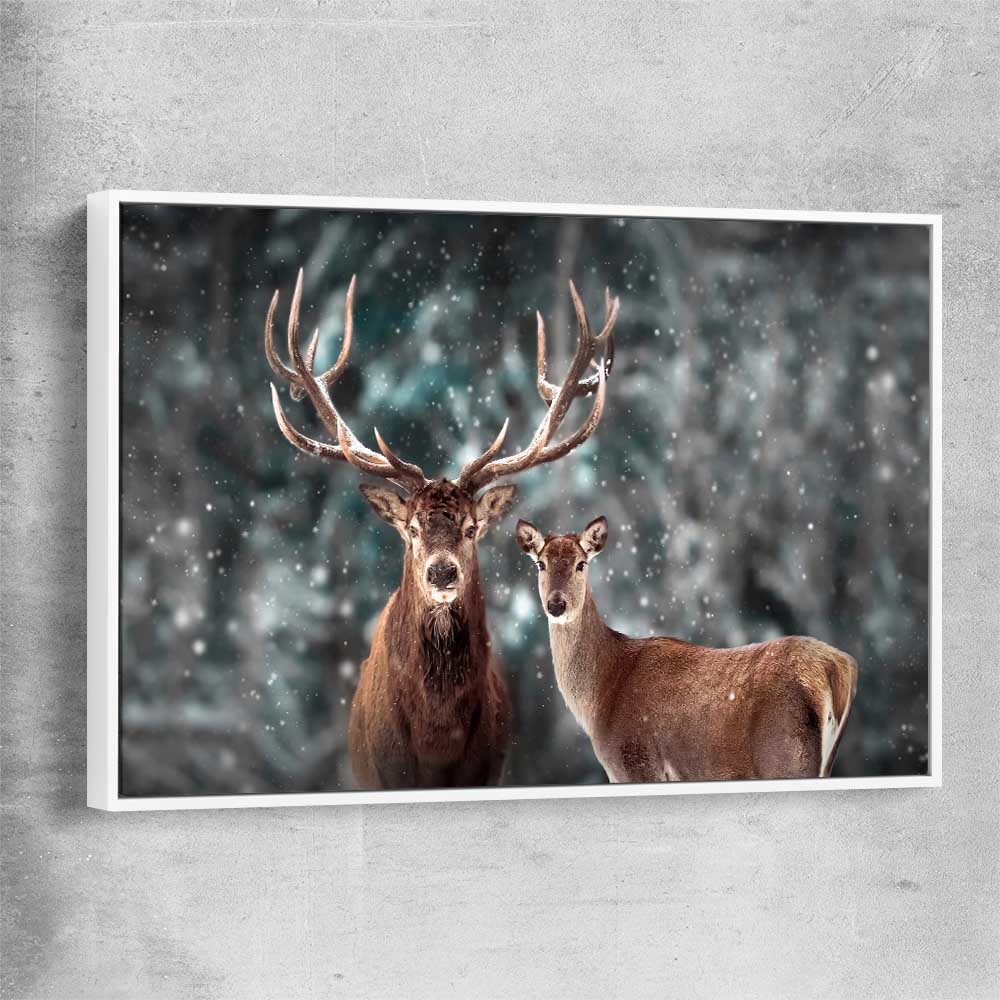 Animal wall art and canvas prints of Twin Highland Stags with white framed canvas