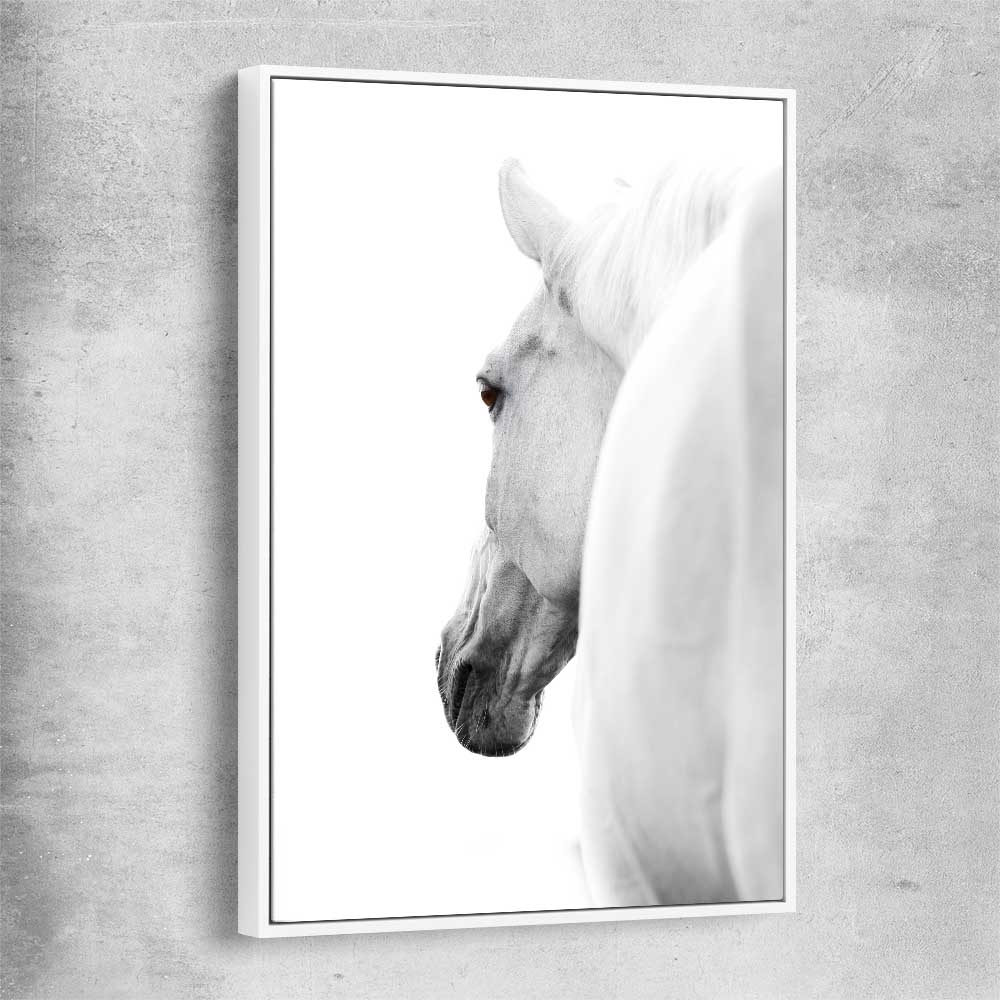 Animal wall art and canvas prints of White Horse Elegance with white framed canvas