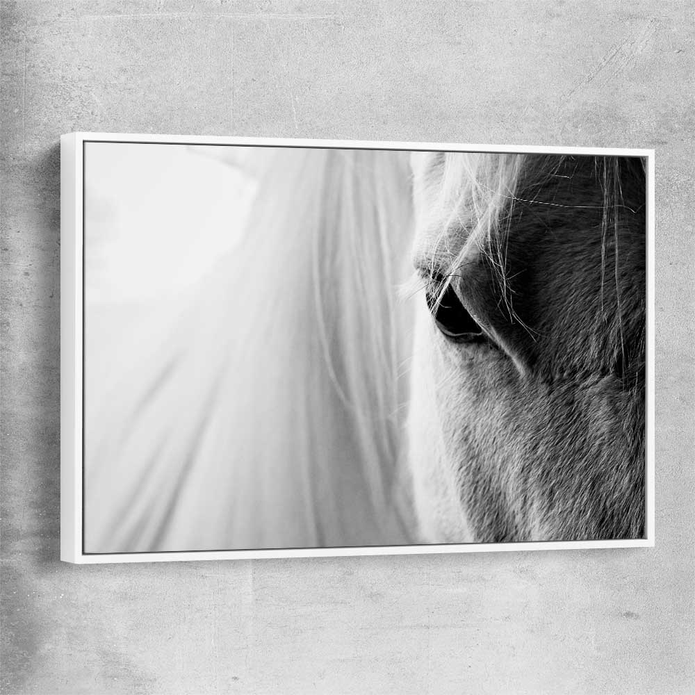 Animal wall art and canvas prints of White Horse Grace with white framed canvas
