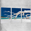 Beach and coastal wall art print of Whitsundays Driftwood Set with white framed canvas