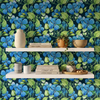 Indigo Bloom Wallpaper