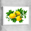 Lemon Botanical white framed canvas is a colourful and stylish canvas wall art and print suited for the kitchen area