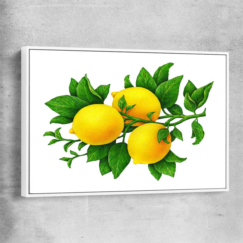 Lemon Botanical white framed canvas is a colourful and stylish canvas wall art and print suited for the kitchen area