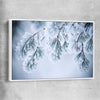 Floral print of Frosted Pine Canopy with white framed canvas