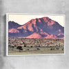 Floral print of Namib Rand Desert with white framed canvas