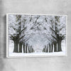 Floral print of Winter Tree Avenue with white framed canvas