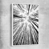 Floral print of Forest Sky with white framed canvas