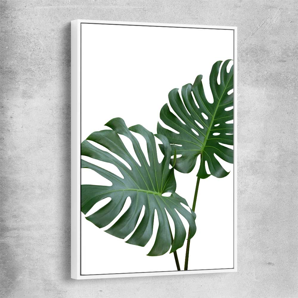 Floral print of Monstera Leaf One with white framed canvas