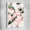 Floral print of Pink Peonies with white framed canvas