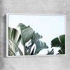 Floral print of Tropical Banana Palm with white framed canvas