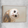 Animal wall art and canvas prints of Barn Owl Gaze with raw oak framed canvas