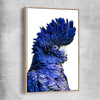Animal wall art and canvas prints of Black Cockatoo Two with raw oak framed canvas