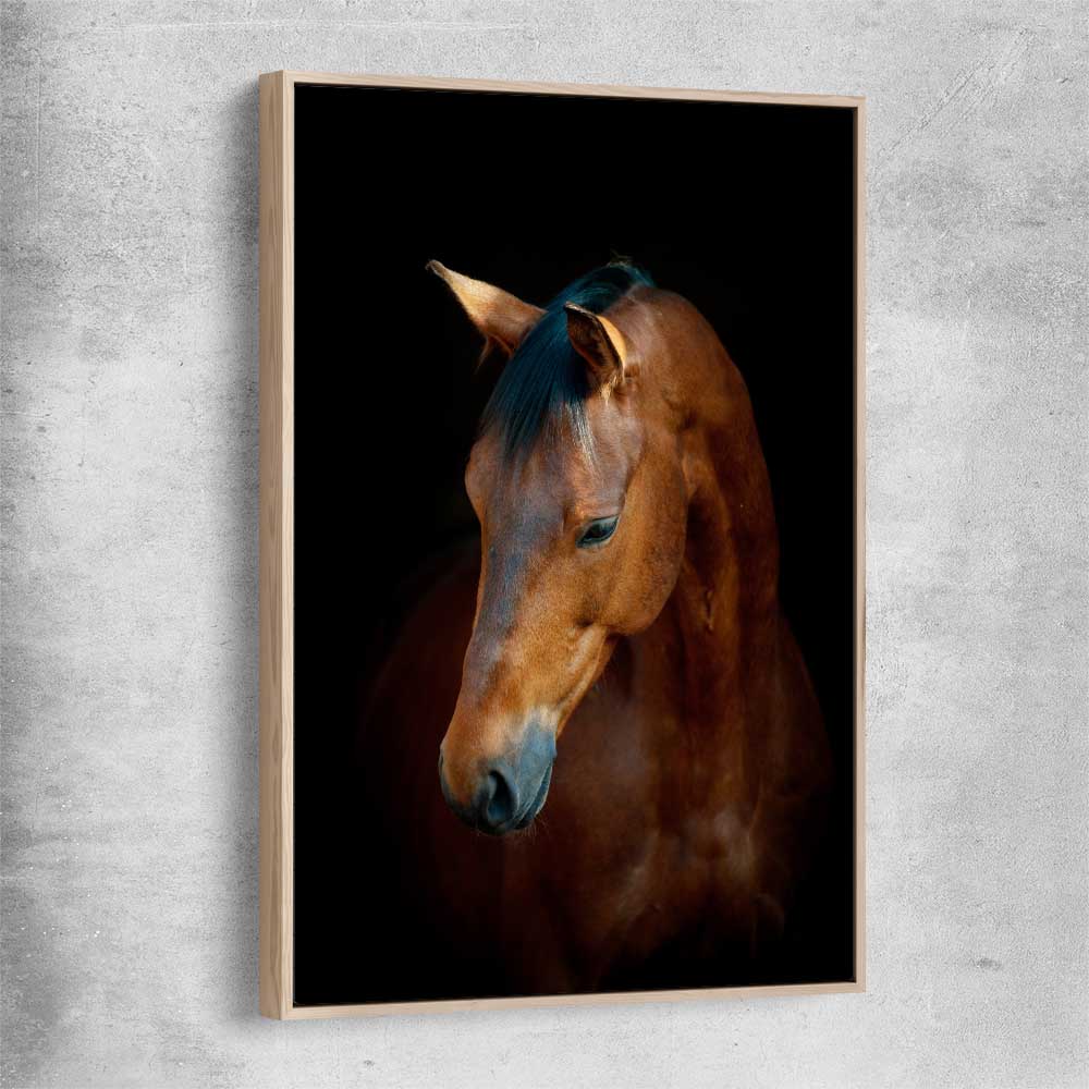 Animal wall art and canvas prints of Chestnut Horse Portrait with raw oak framed canvas