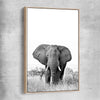 Animal wall art and canvas prints of Elephant Gaze with raw oak framed canvas