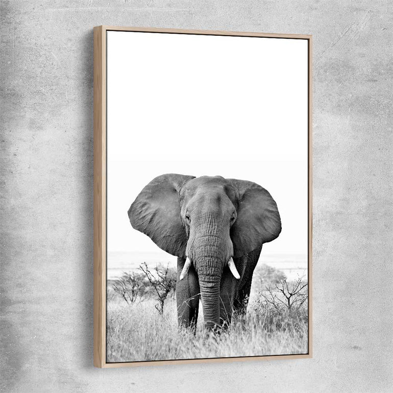 Animal wall art and canvas prints of Elephant Gaze with raw oak framed canvas