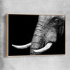 Animal wall art and canvas prints of Elephant Majesty with raw oak framed canvas