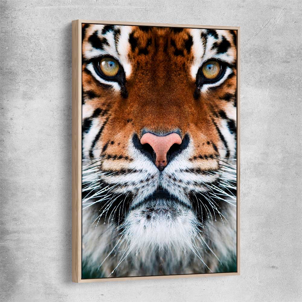 Animal wall art and canvas prints of Golden Tiger Gaze with raw oak framed canvas