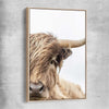 Animal wall art and canvas prints of Highland Graze with raw oak framed canvas