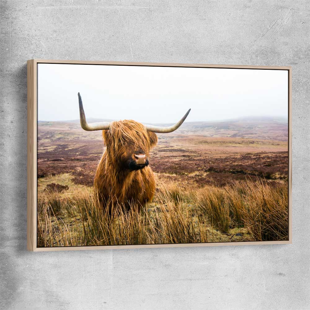 Animal wall art and canvas prints of Highland Horizon with raw oak framed canvas