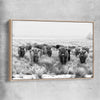 Animal wall art and canvas prints of Highland Monochrome with raw oak framed canvas