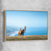 Animal wall art and canvas prints of Kangaroo Coastal Vista with raw oak framed canvas