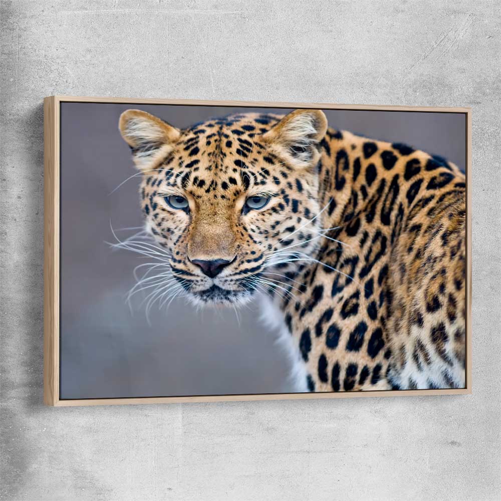 Animal wall art and canvas prints of Leopard Silent Watch with raw oak framed canvas