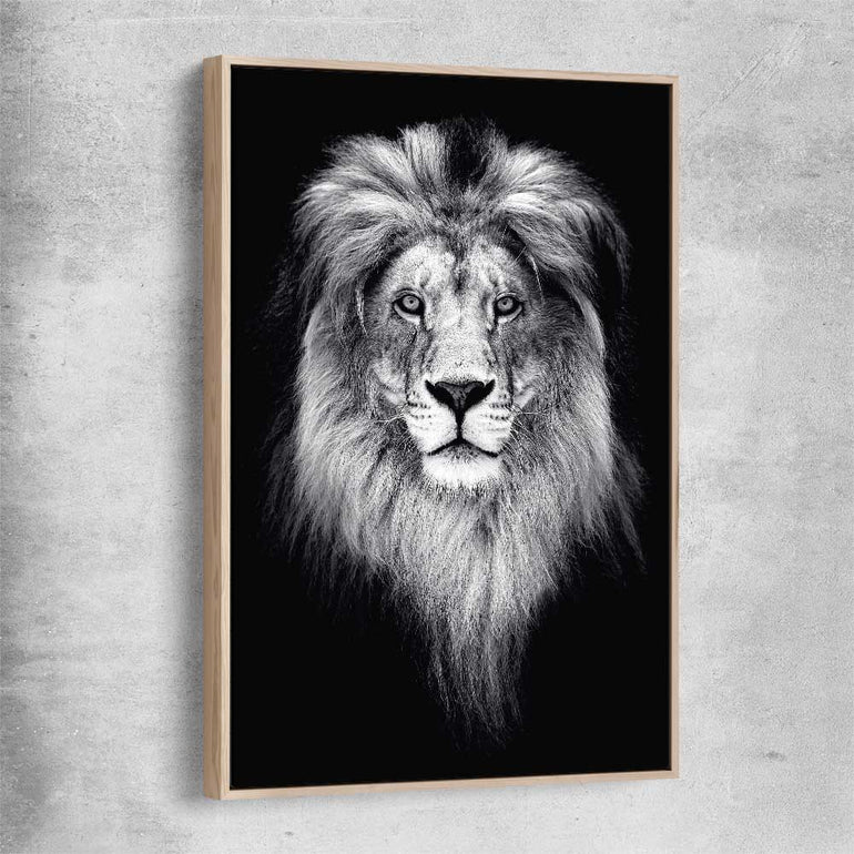 Animal wall art and canvas prints of Lion Gaze with raw oak framed canvas