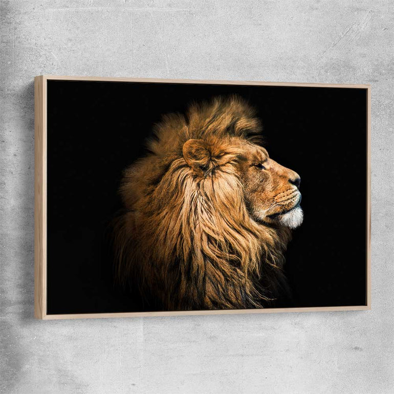 Animal wall art and canvas prints of Lion Mentality with raw oak framed canvas