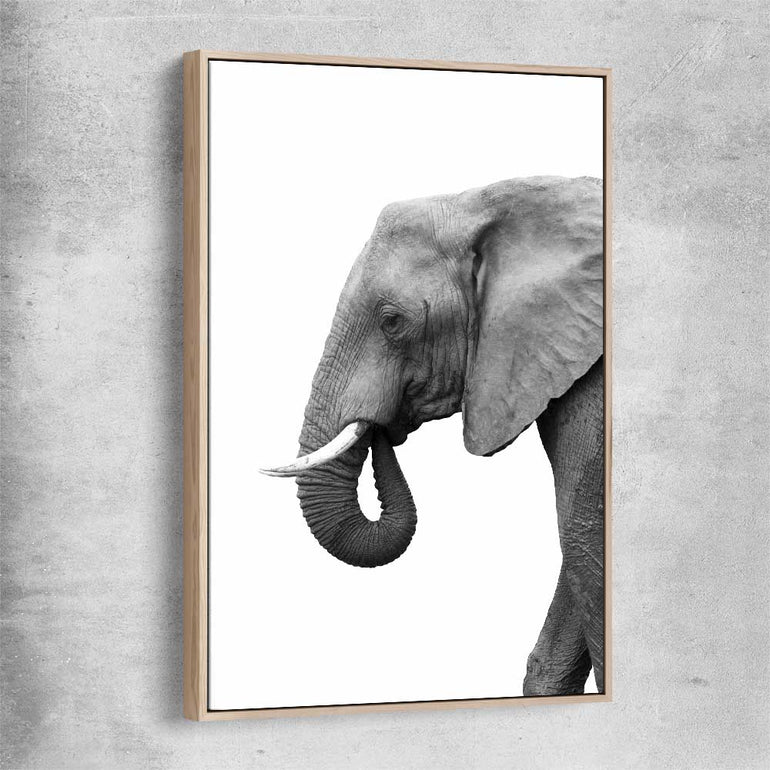 Animal wall art and canvas prints of Lone Elephant with raw oak framed canvas