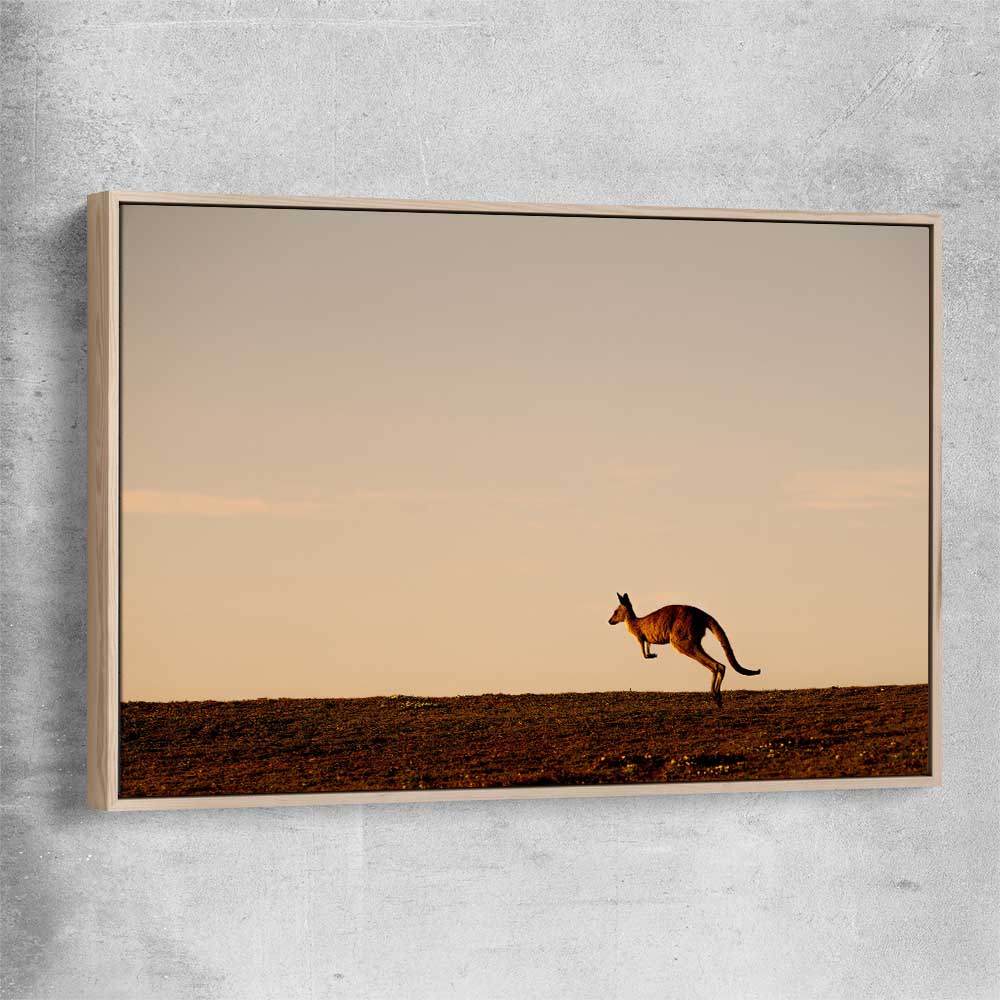 Animal wall art and canvas prints of Lone Kangaroo Plains with raw oak framed canvas