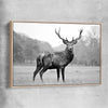 Animal wall art and canvas prints of Majestic Red Deer with raw oak framed canvas