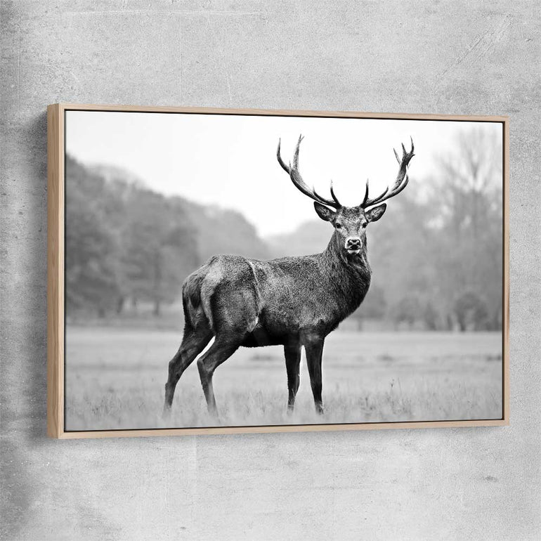Animal wall art and canvas prints of Majestic Red Deer with raw oak framed canvas