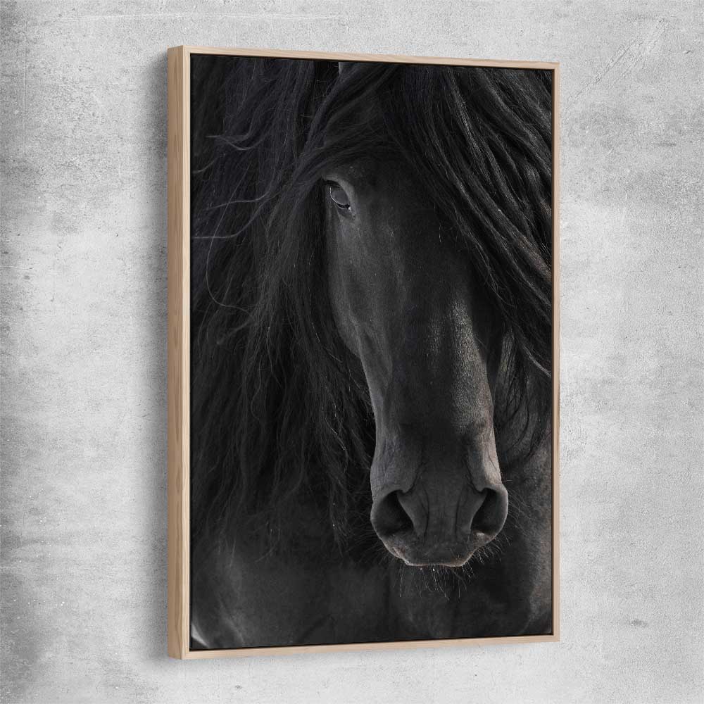 Animal wall art and canvas prints of Midnight Friesian Horse with raw oak framed canvas