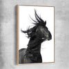 Animal wall art and canvas prints of Midnight Horse with raw oak framed canvas