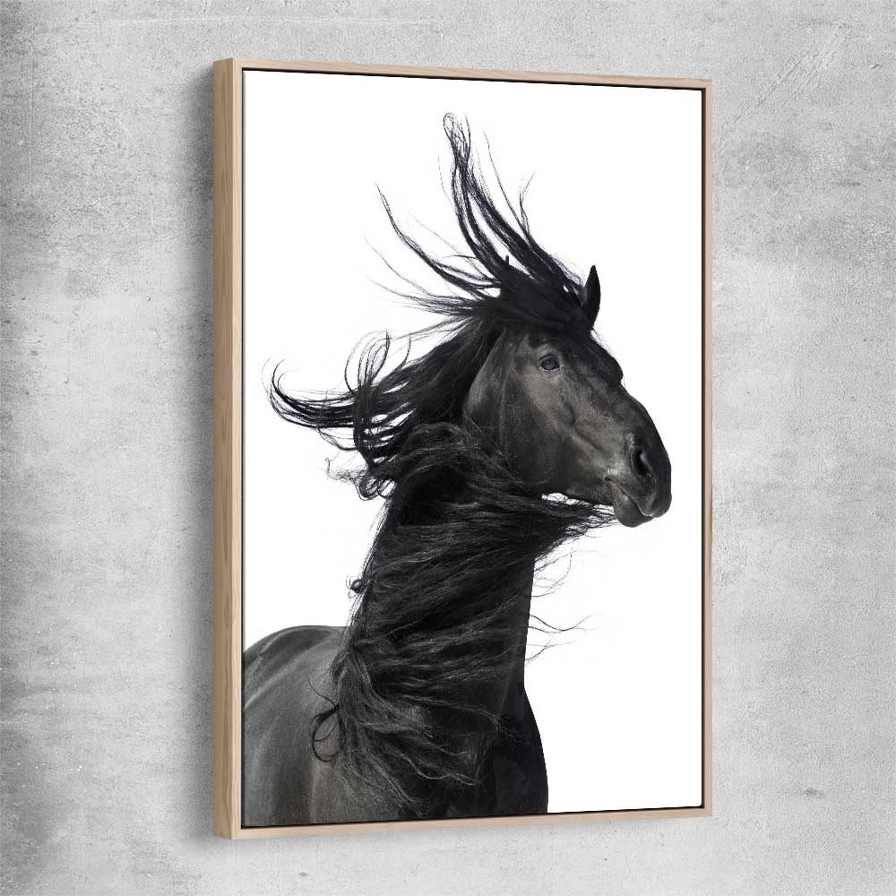 Animal wall art and canvas prints of Midnight Horse with raw oak framed canvas