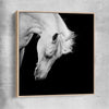 Animal wall art and canvas prints of Midnight White Horse with raw oak framed canvas