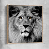 Animal wall art and canvas prints of Noble Lion Portrait with raw oak framed canvas