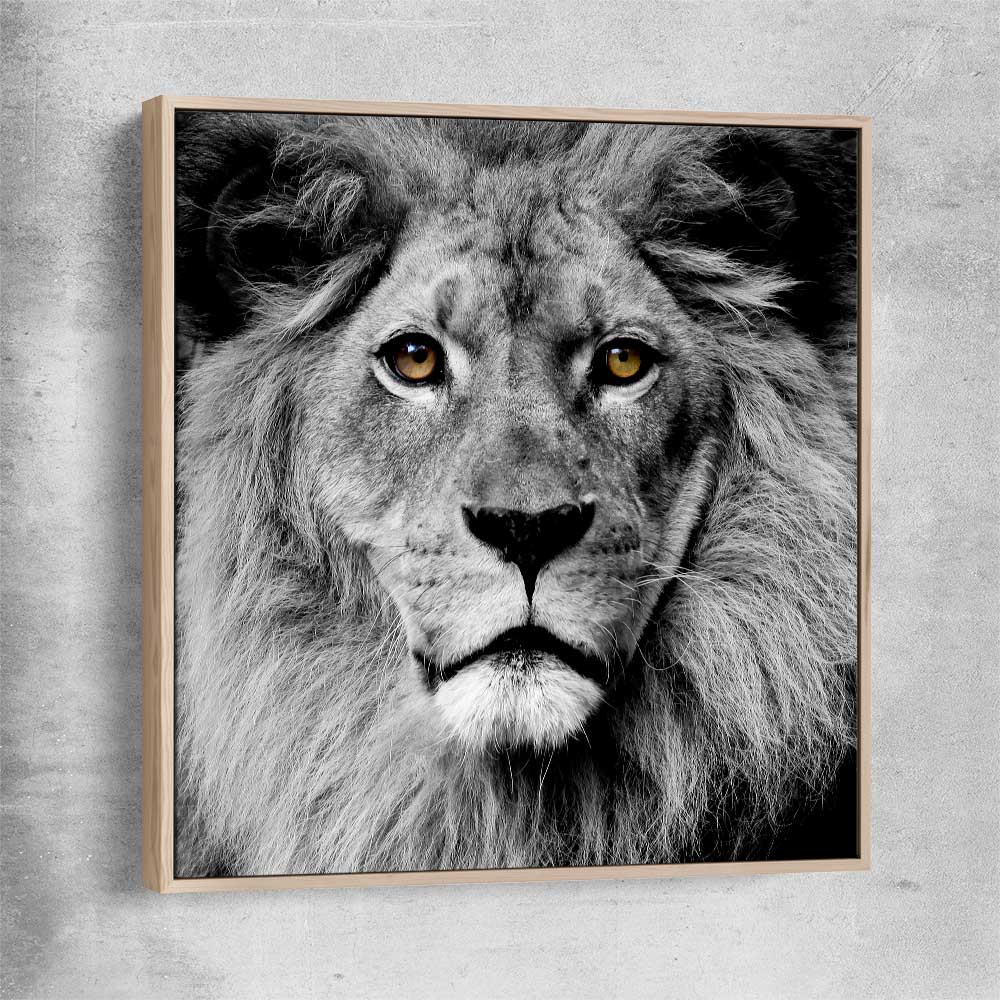 Animal wall art and canvas prints of Noble Lion Portrait with raw oak framed canvas