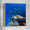 Animal wall art and canvas prints of Ocean Turtle Reef with raw oak framed canvas