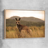 Animal wall art and canvas prints of Outback Kangaroo with raw oak framed canvas