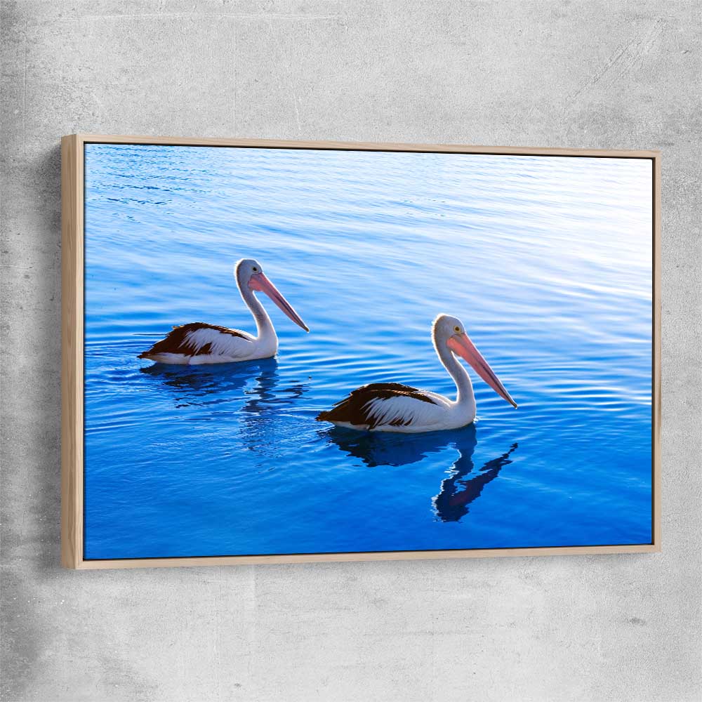 Animal wall art and canvas prints of Pelican Blue Waters with raw oak framed canvas