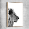 Animal wall art and canvas prints of Pondering Lion with raw oak framed canvas