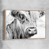 Animal wall art and canvas prints of Quiet Highland Cow with raw oak framed canvas