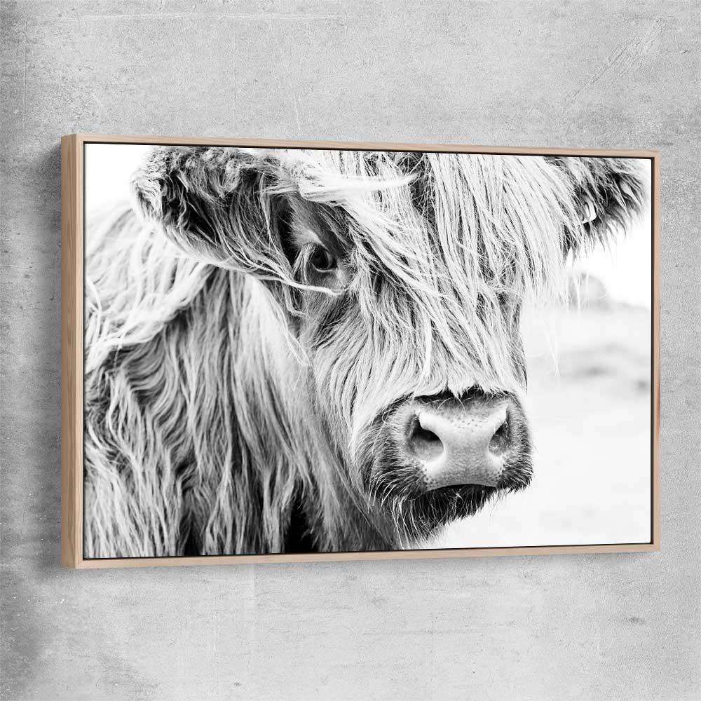 Animal wall art and canvas prints of Quiet Highland Cow with raw oak framed canvas